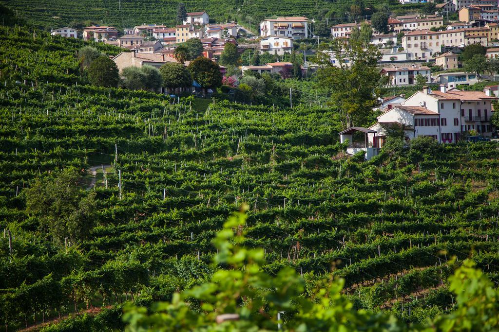 Agriturismo Due Carpini Valdobbiadene Exteriér fotografie